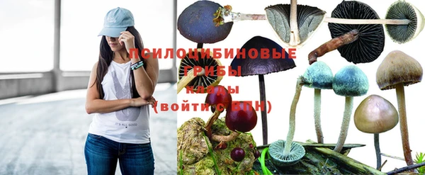 Альфа ПВП Алексеевка