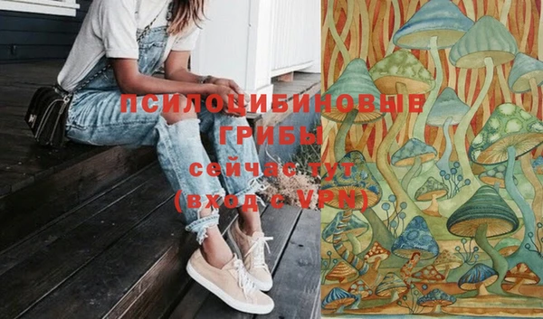 бутират Алзамай